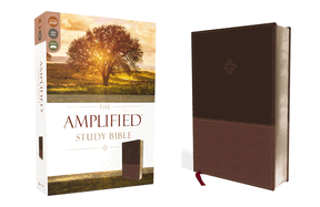 Amplified Study Bible: Imitation Leather, Brown