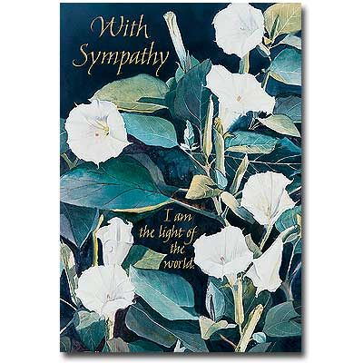 With Sympathy Morning Glories