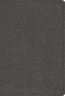 Student Study Bible-ESV