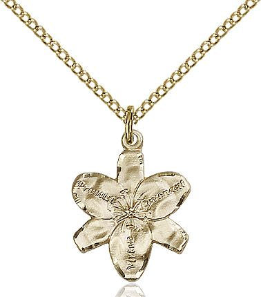 Chastity medal 00882, Gold Filled