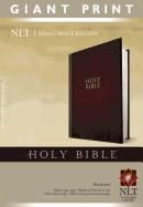 Giant Print Bible-NLT
