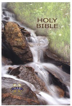 New American Catholic Student Bible: NABRE, Hardcover