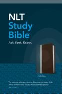 Study Bible, NLT, Two-tone leather cover