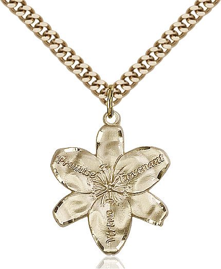 Chastity medal 00892, Gold Filled
