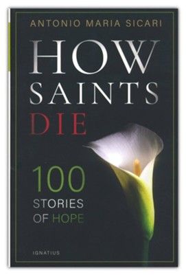 How Saints Die, 100 stories of Hope